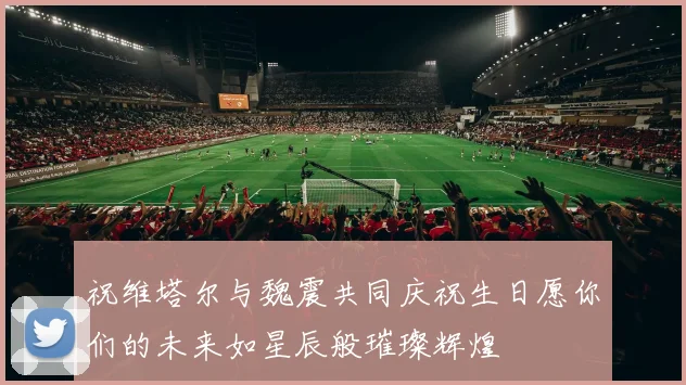 祝维塔尔与魏震共同庆祝生日愿你们的未来如星辰般璀璨辉煌